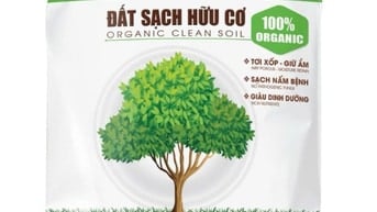 Công Ty Thuận Phát Sản Xuất Bao Bì Đất Sạch
