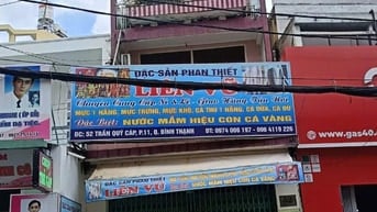 Cho thuê nhà mặt tiền Trần Quý Cáp, Bình Lợi Trung, 1 trệt 2 lầu, 4PN