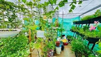 Ảnh đại diện