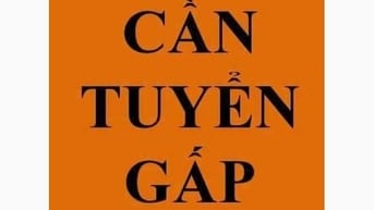 Cần gấp nhân viên phụ kho tại khu vực TPHCM 