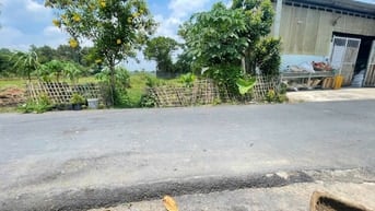 CẦN BÁN GẤP ĐẤT THỔ CƯ 337m2 ĐƯỜNG NGUYỄN THỊ CẨM , XÃ TÂN PHÚ TRUNG