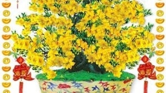 Tranh gạch 3d hoa mai - gạch tranh 3d hoa mai - XC444