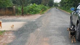 ngộp lãi cần bán cắt lỗ gấp, giảm sâu lô đất mặt tiền đường nhựa 30m