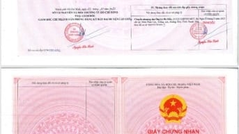 BÁN ĐẤT THỔ CƯ 452,9M2 CÓ 241M2 THỔ CƯ, AN THỚI ĐÔNG, CẦN GIỜ, TP.HCM