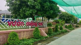 TUYỂN TẠP VỤ LÀM TẠI TÂN HẠNH, TP BIÊN HOÀ