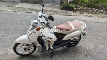 Mio classico 2012