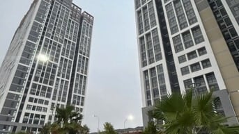 Cho thuê căn hộ Citi Ato phường Cát Lái Q.2 cũ,