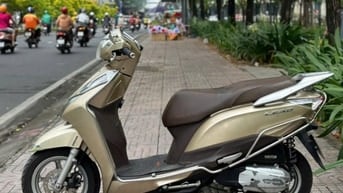 XE TAY GA HONDA LEAD 2015 - MÀU VÀNG