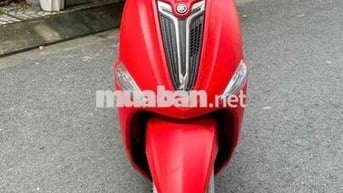 Nozza biển62