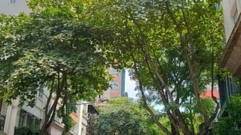Cho Thuê Cửa hàng tầng 1, phố Triệu Việt Vương, DT 12 m2