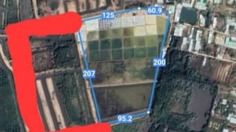 BÁN ĐẤT LỚN 6HA TẠI ĐƯỜNG  DUYÊN HẢI - LONG HÒA- CẦN GIỜ –450 tỷ