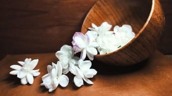 Tìm việc công nghệ thông tin ĐN