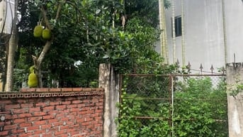 BÁN ĐẤT THÔN ĐÔNG PHÙ LỖ 224m2 GIÁ CHỈ 5.35