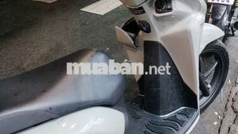 Vision 2024 bánh lớn