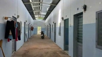Dãy Trọ 12 Phòng Giá 780 Triệu Ở Trảng Bàng, Tây Ninh - Sổ hồng riêng