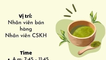 Việc làm part-time cho SV tại Bình Thạnh 