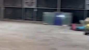 Kho xưởng cho thuê Tân Thông Hội , Củ Chi , DT: 1,000m2 