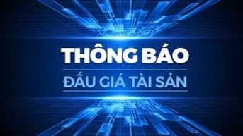 CÔNG TY ĐẤU GIÁ HỢP DANH DẦU KHÍ VIỆT NAM THÔNG BÁO BÁN ĐẤU GIÁ