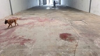 Cg CHO THUÊ KHO XƯỞNG GẦN METRO PHƯỜNG TÂN THỚI HIỆP Q12