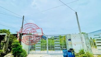 Cần bán gấp lô đất mt gần chợ Việt Kiều Tân Thông Hội Củ Chi 340m2 