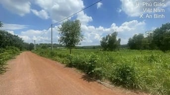 Công ty Đấu giá hợp danh Lam Sơn Sài Gòn THÔNG BÁO ĐẤU GIÁ TÀI SẢN