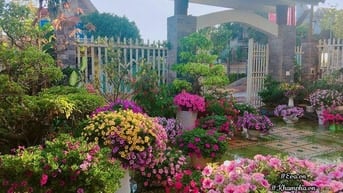 Cần Bán gấp nhà vườn , mặt tiền xe hơi ,có 2 lỗi vào 