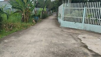 Chính chủ bán đất vườn HXh Bùi Thanh Khiết, Bình Chánh