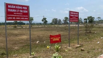 Công ty đấu giá hợp danh Sao Việt 