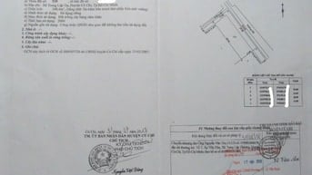 HÀNG NGỘP NÈ ANH CHỊ ƠIII, CĂN NHÀ VƯỜN Ở CỦ CHI GIÁ 1 TỶ 250 TRIỆU, 3