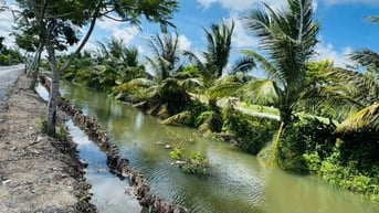 Chính chủ cần ra lô đất tại thị trấn Đức Hoà, Long An, 3 mặt tiền sông