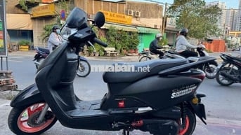 Scr xe Nhập