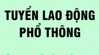 QUẬN BÌNH THẠNH CẦN TUYỂN NHÂN VIÊN HÀNG CHÍNH NHÂN SỰ 