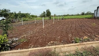 Bán Đất tại Xã Bình Trung, Châu Đức, Bà Rịa Vũng Tàu, 1,55tỷ, 147,8 m.