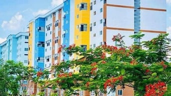 Nhà ở xã hội Happy Home Nhơn Trạch Đồng Nai 
