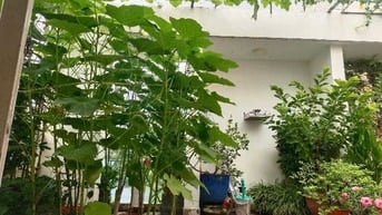 BÁN NHÀ HẺM XE TẢI – TRƯỜNG THỌ, THỦ ĐỨC