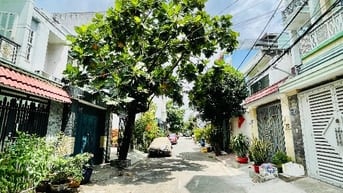Khu dân cư Lý Chiêu Hoàng - 4 tầng - ngang 5m x 20m - CC Khang Điền