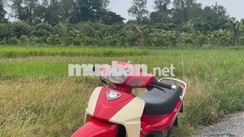cần bán xipo full 120 6 số