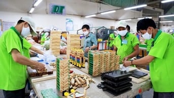 Cần tuyển nhân viên nam nữ tạp vụ dọn dẹp văn phòng và đóng gói kho 