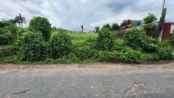 Kẹt quá bán gấp 297m2 đất thổ sổ riêng mặt đường Mai Thị Buội, 590tr