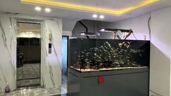 PHỐ TRẠM GẦN VĨNH TUY. OTO VÀO NHÀ - HƠN 12 TỶ. LÔ GÓC NGÕ THÔNG - 6 T