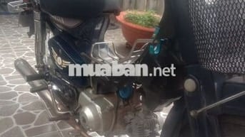 Xe cub 82 nhật