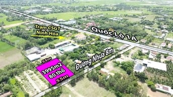Khu Kinh Tế Nam Vân Phong - Đất Phù Hợp Mở Kho Xưởng