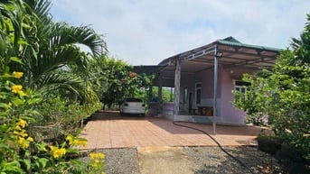 Chủ Định Cư Nước Ngoài Cần Bán Gấp Vườn 3.700m² Gần TP. Long Khánh