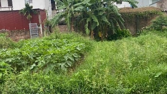 Chính chủ cần bán lô đất ở ninh môn