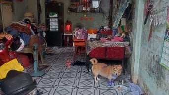 Ảnh đại diện