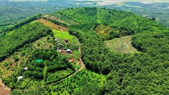 Cơ Hội Sở Hữu 1.050m² View Suối – View Đồi Tuyệt Đẹp Tại Định Quán