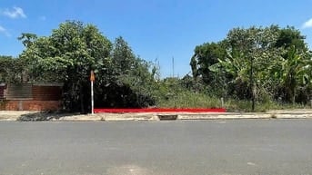 Công ty Đấu giá hợp danh Lam Sơn Sài Gòn THÔNG BÁO ĐẤU GIÁ TÀI SẢN