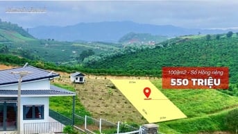 Chỉ 550 triệu sở hữu hơn 1000m2 đất xã Nam Hà, SHR