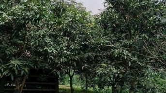 8000m đất trong đó 500m thổ cư giá 25 tỷ