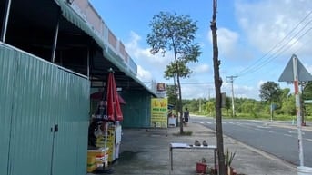 Bán dãy nhà khu E Bàu Bàng Phường Bến Cát Hồ Chí Minh